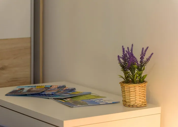 Apartman D-delight Zadar