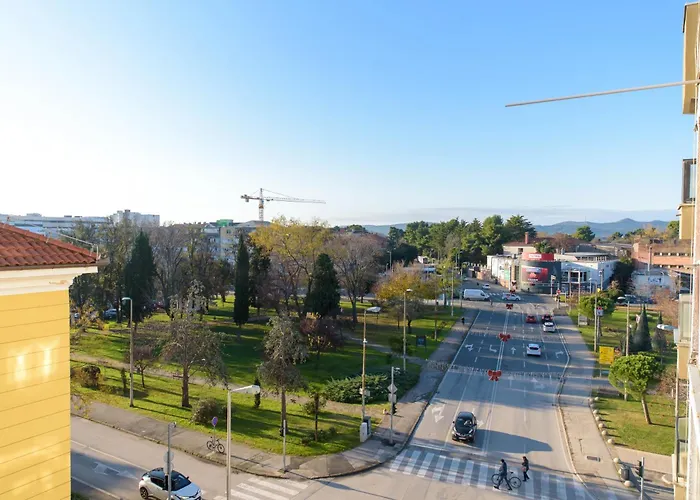 D-delight * Ζαντάρ