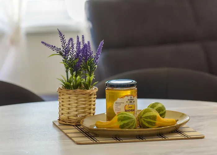 D-delight Ζαντάρ