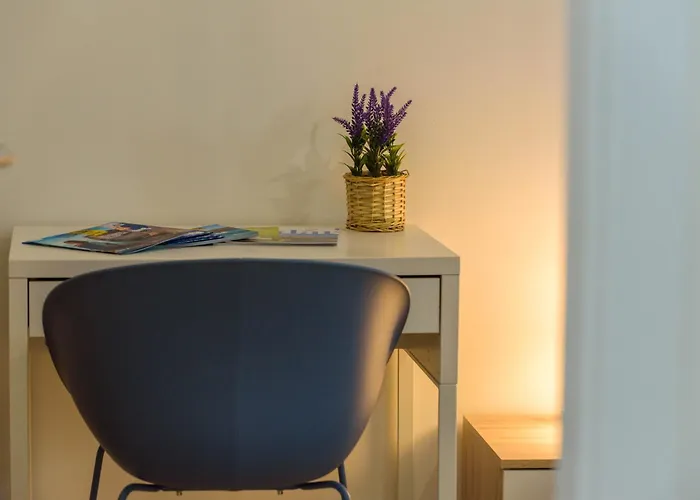 D-delight Ζαντάρ